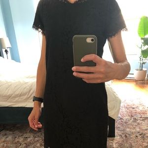 Beautiful lace Joie dress